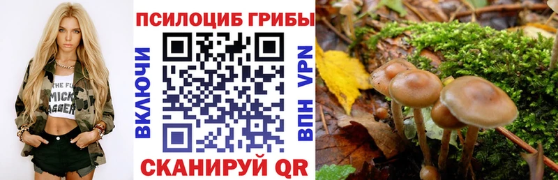 Псилоцибиновые грибы ЛСД Кукмор